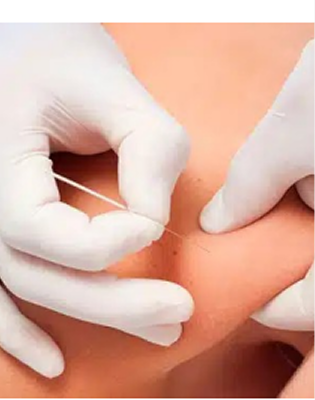 banner s28